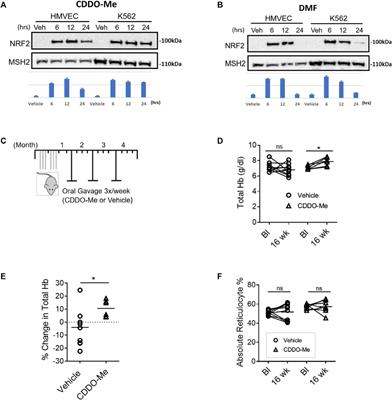 Nrf2 Activation With CDDO-Methyl Promotes Beneficial and Deleterious Clinical Effects in Transgenic Mice With Sickle Cell Anemia